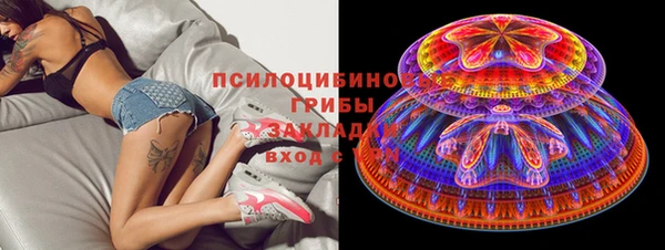 соль курить ск Белокуриха