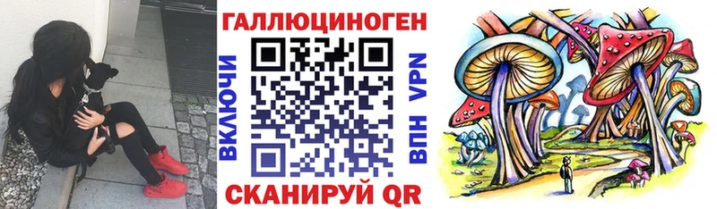 где купить наркотик Суворов Псилоцибиновые грибы GOLDEN TEACHER